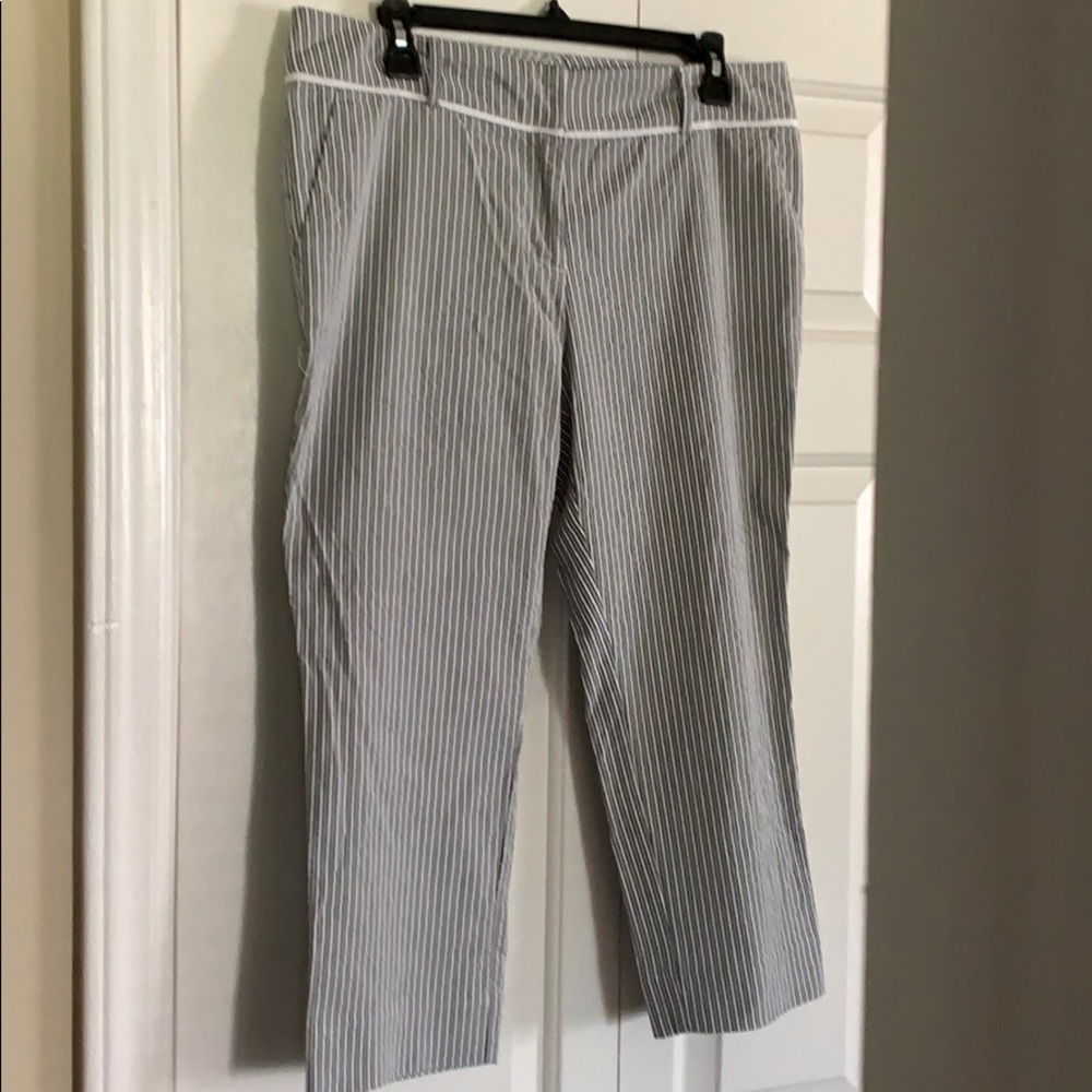New York & Co Capri Trousers